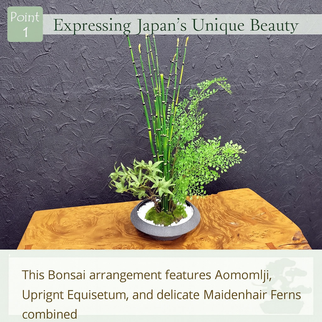 Artificial Japanese Bonsai Maple Adiantum Horsetail Plant CUPBON Made in Japan