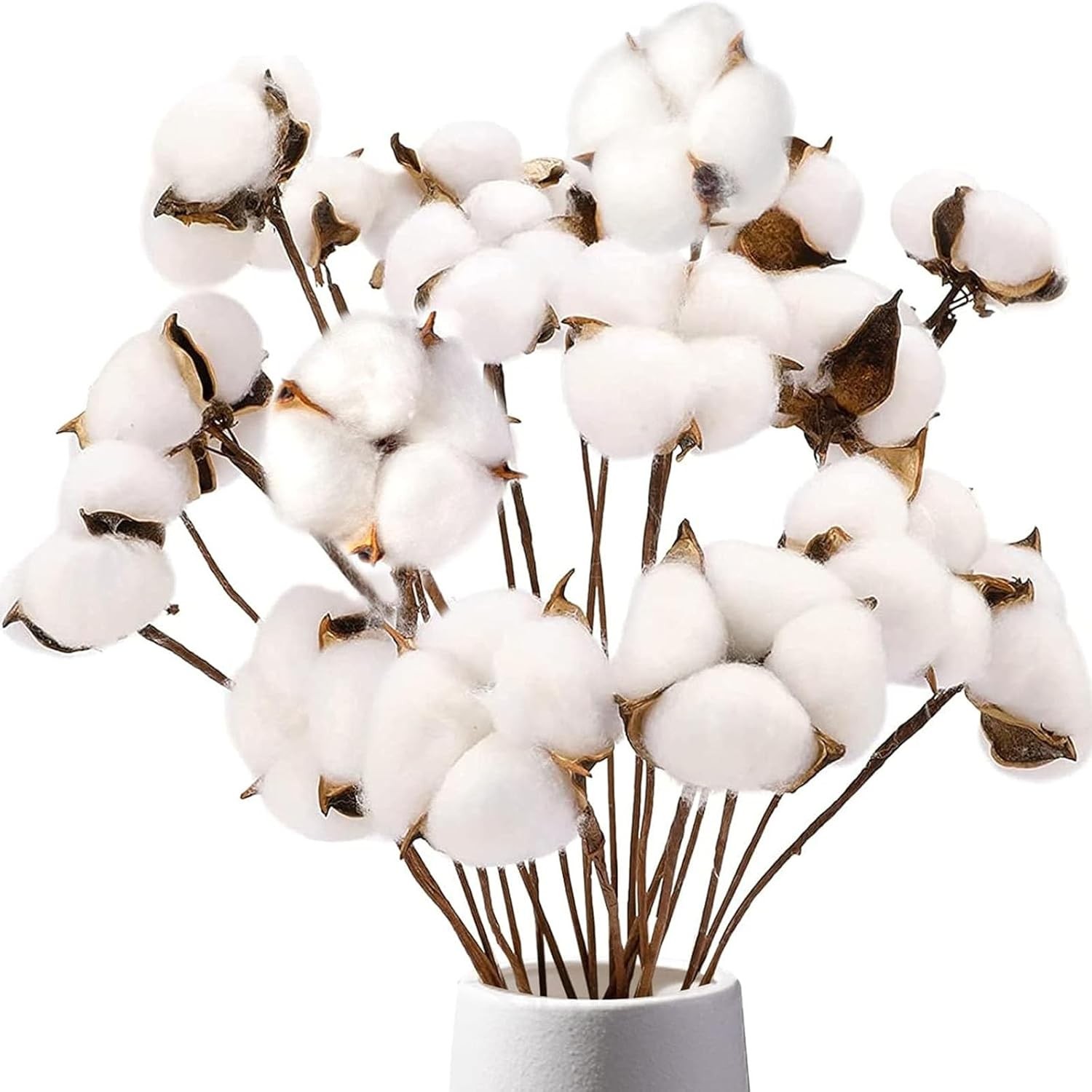 Cotton Stems 8 Packs with 15 Bolls, Natural Dried Flowers Cotton Sprigs for Vase