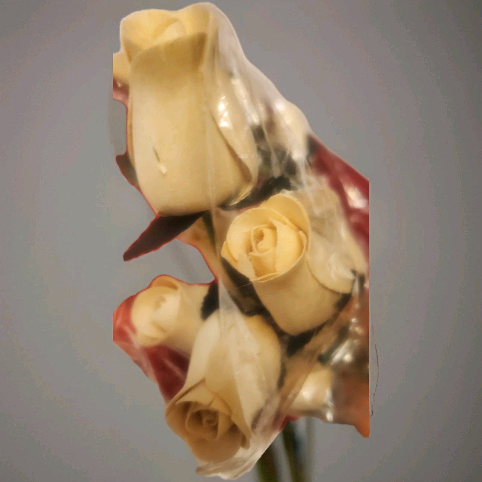 24 pc Beautiful Realistic Ivory White Wooden Roses Standard Version