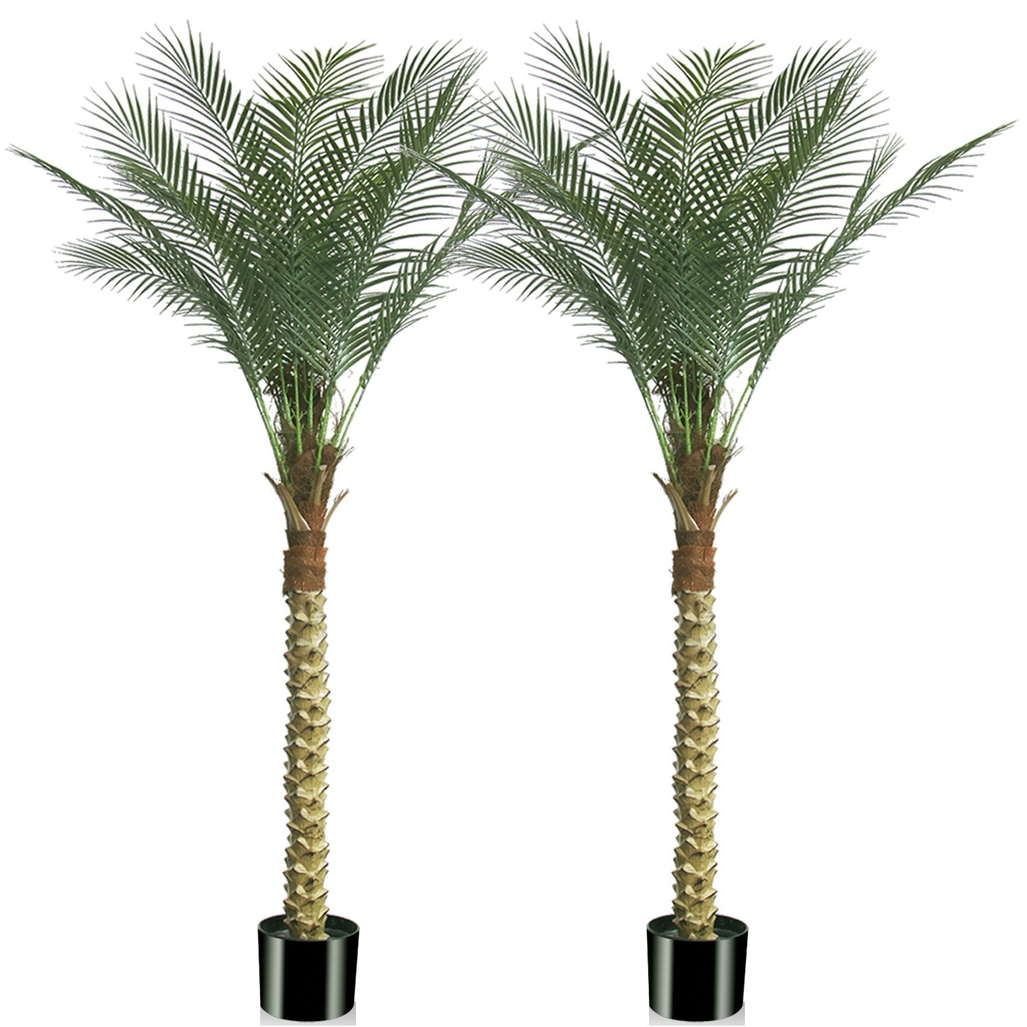 180 cm Large Artificial Coconut Palm Tree 2 Pack Fake Green Indoor Floor Plant
