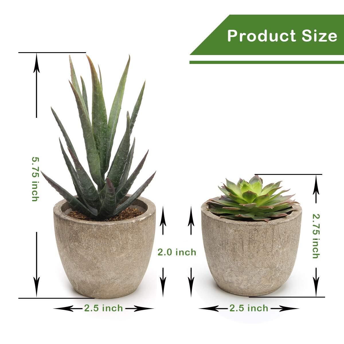 Set of 5 Artificial Succulent Plants in Pots Assorted Decorative Faux Cactus
