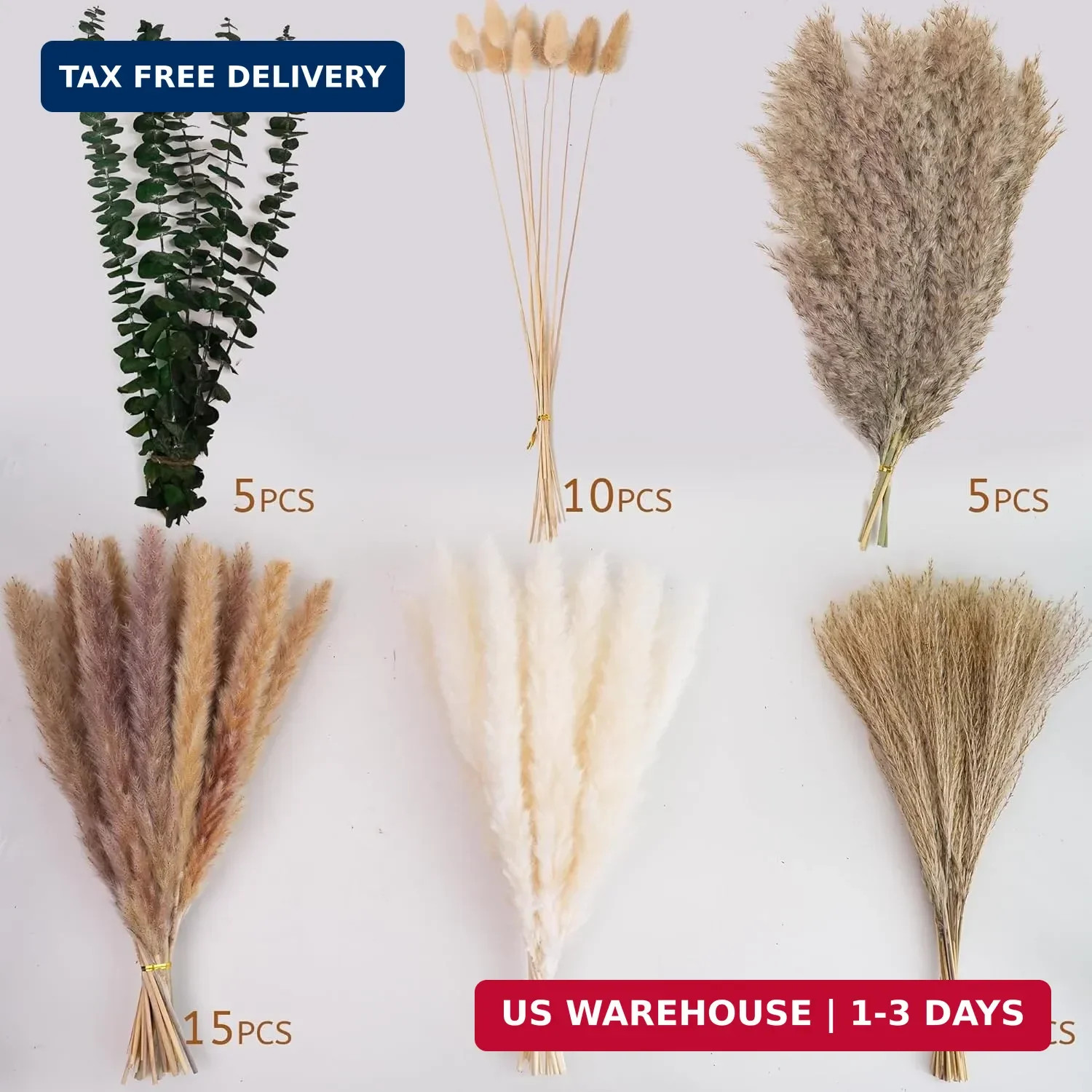 Pampas Grass Decor, Dried Flower Bouquet with Bunny Tail Grass, Pampas Grass & E
