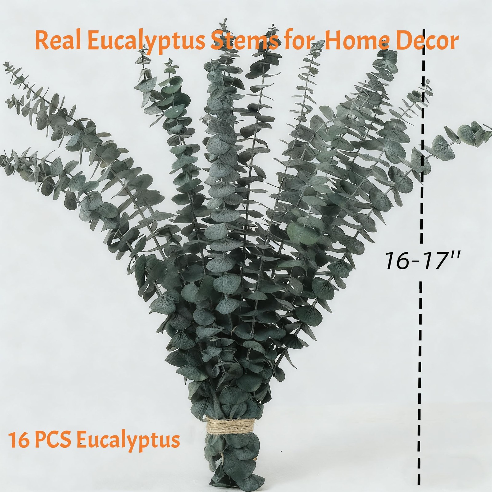 16 PCS Dried Eucalyptus Stems, 17″ Real Preserved Eucalyptus Bouquet for Wedd…