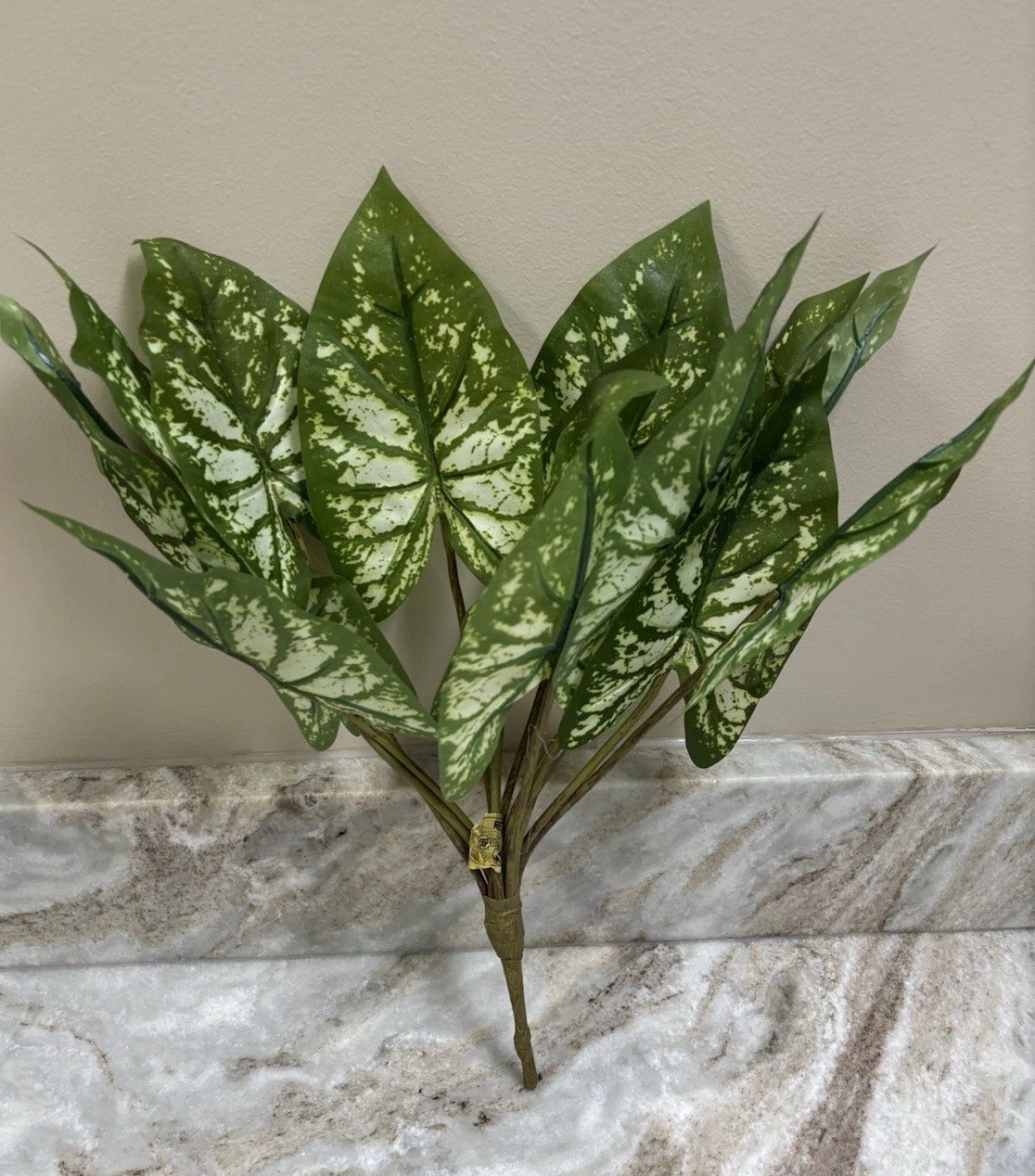 Caladium Bush 16” Faux W/14 6” Leaves 5 Pk Bundle~Green & White Molted Elephant