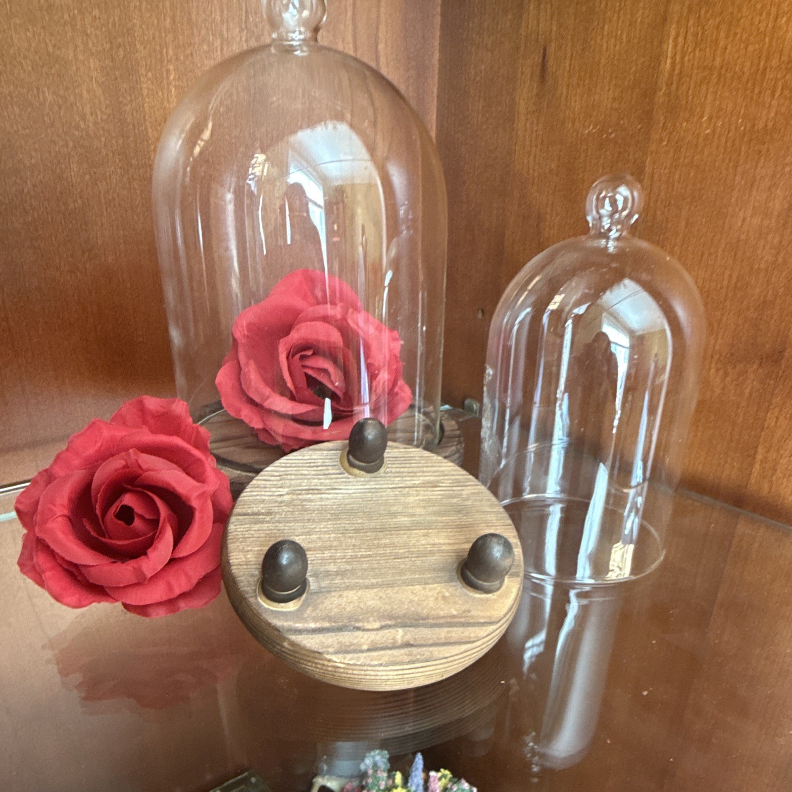 Glass Cloche Dome w/ Wood Base Decor set of 2