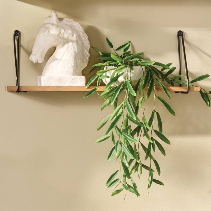 Trailing Leaf Plant Container Material: Stoneware