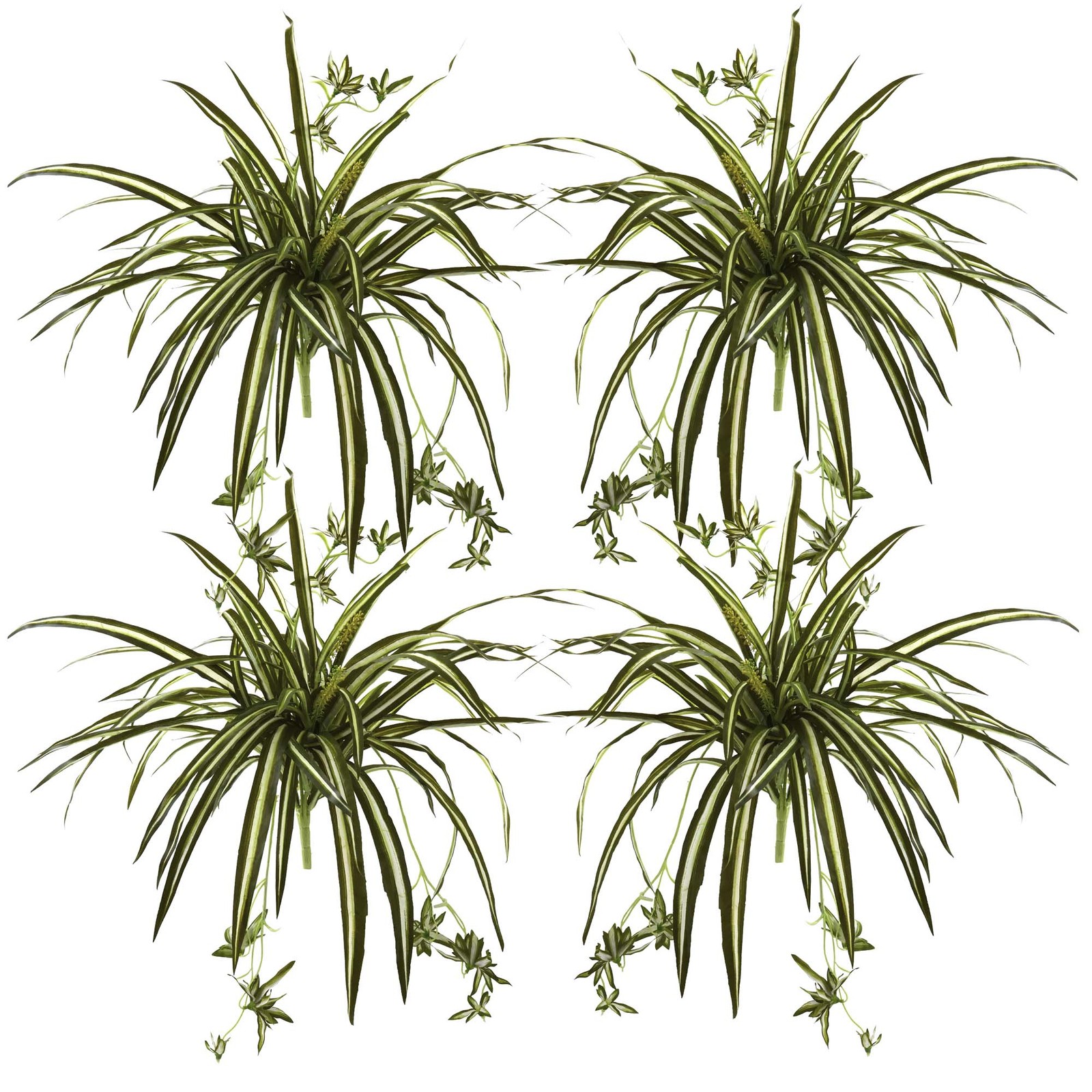 Nearly Natural 23″ Spider Bush with Striped Light/Dark Green Leaves (Set of 4)