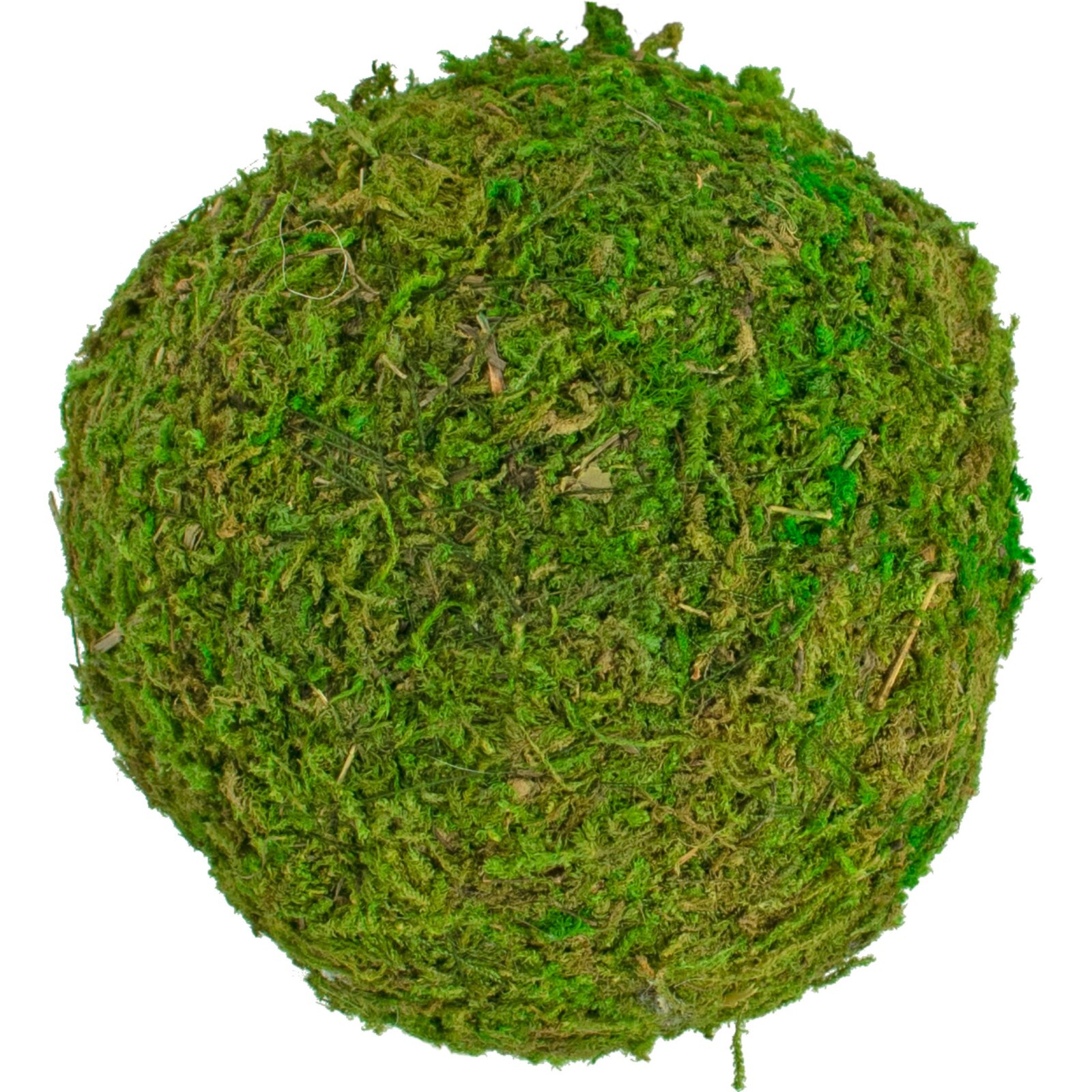 Decorative Moss Balls, Real Natural Home Decor, Accents, Centerpiece Bundle of 8