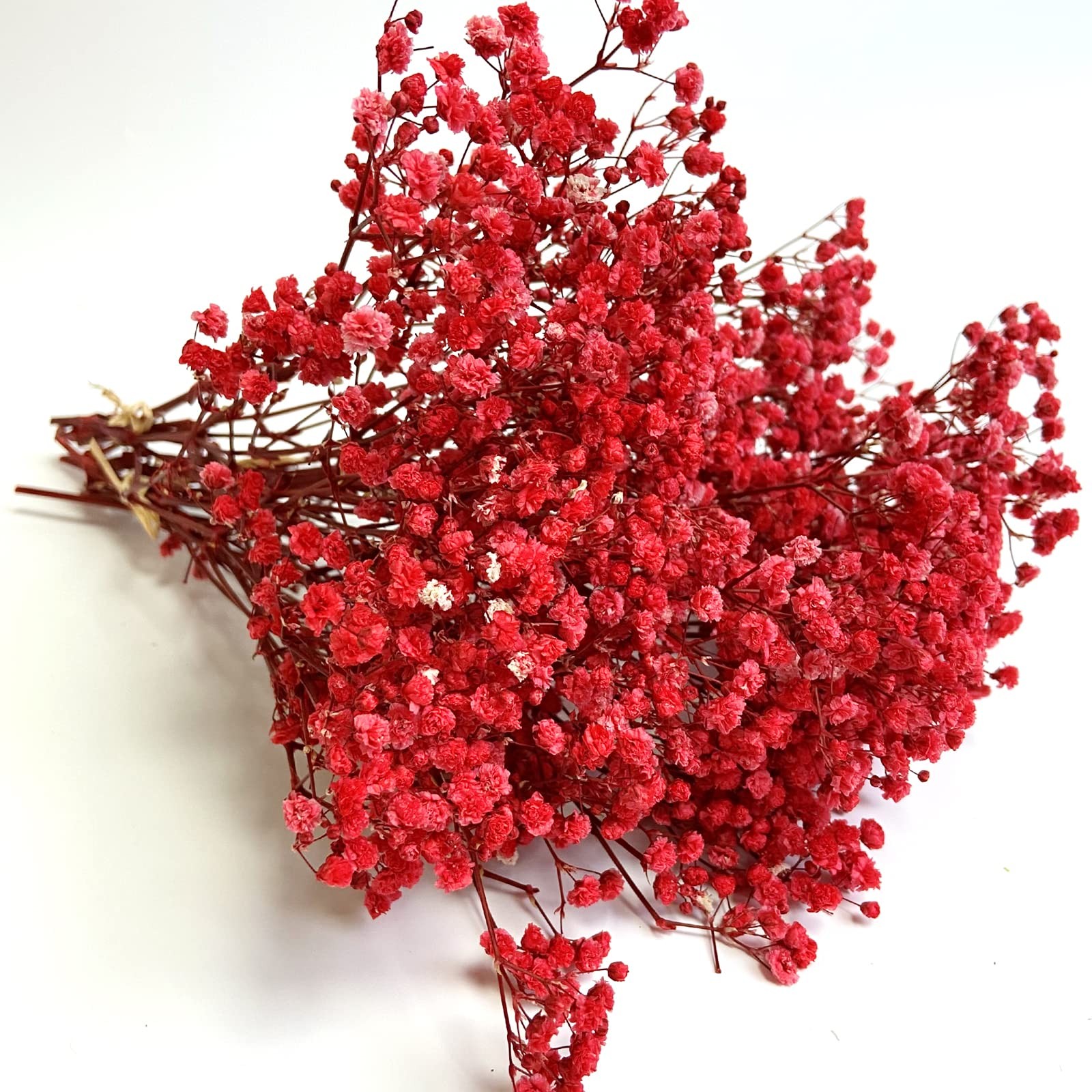3 PCS Red Preserved Babys Breath Natural Gypsophila Long Lasting Flowers