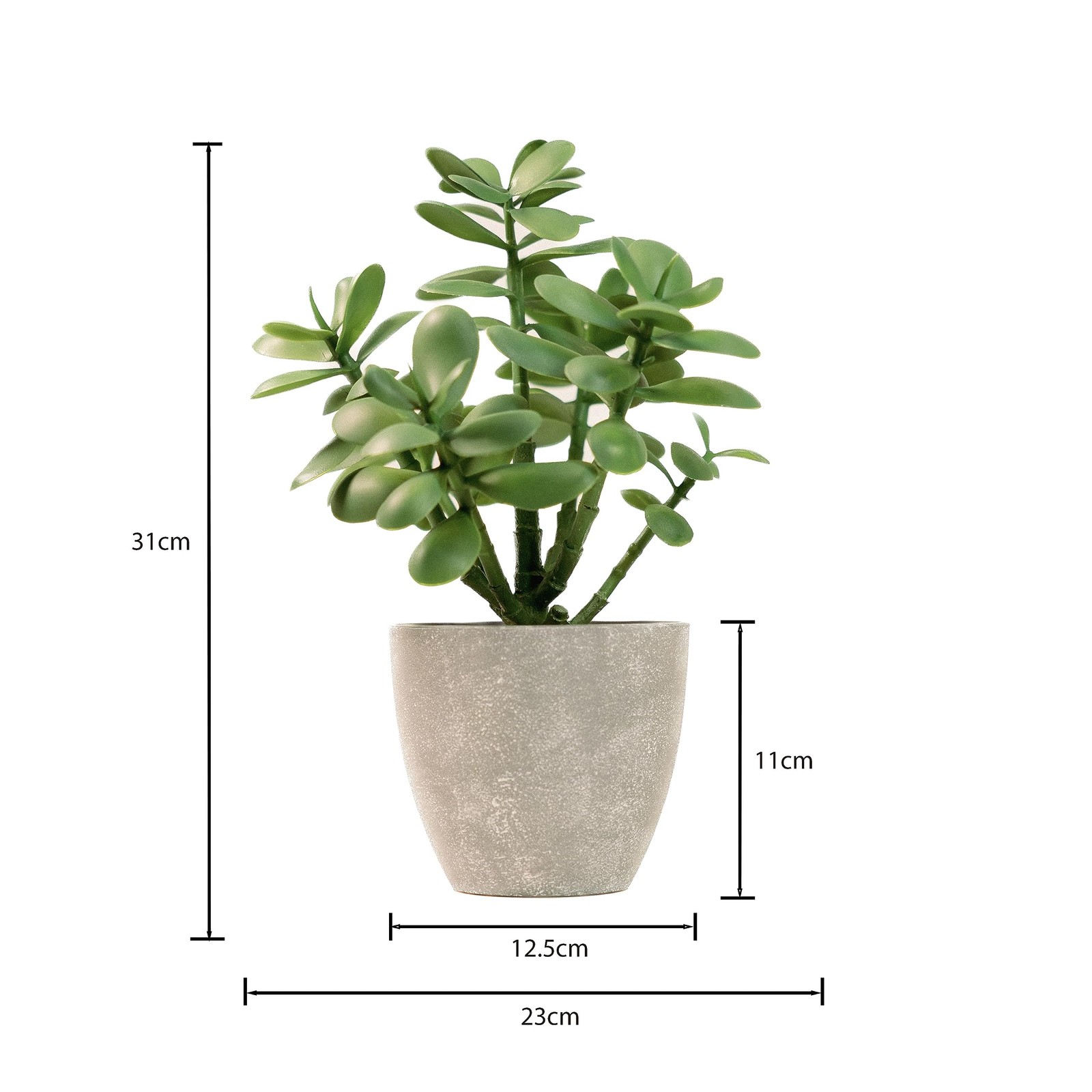 365 Blooming Decor 12” Artificial Jade Plant in Minimalist Gray 1ft, Green
