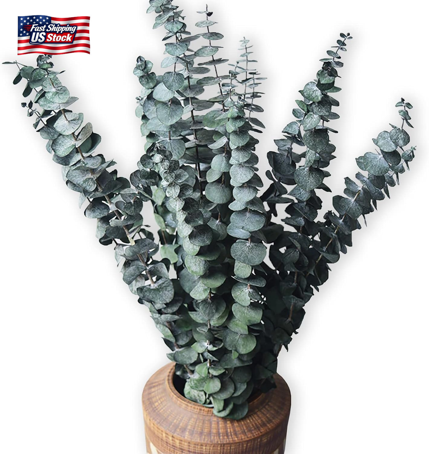 Eucalyptus for Shower 10 Pcs Hanging Dried Eucalyptu Stems 17″ Real Eucalyptus B