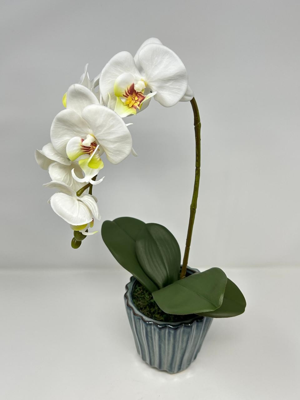 16″ Lg WHITE Phalaenopsis ORCHID silk flower planter, 4″ Blue ceramic footed pot