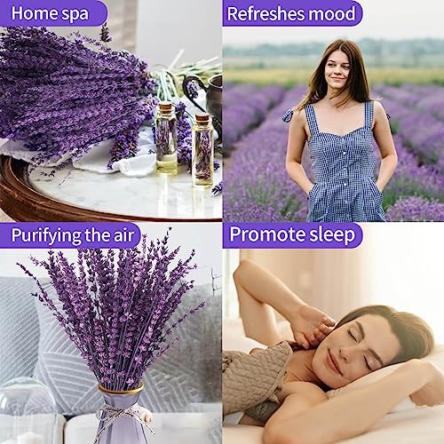 Dried Lavender Flowers Bouquet 15-17 inch Purple Bundle Preserved Aromatherapy D