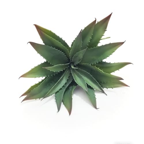 Artificial Aloe Vera Plant, 11Inch Realistic Large Fake Succulents for Green
