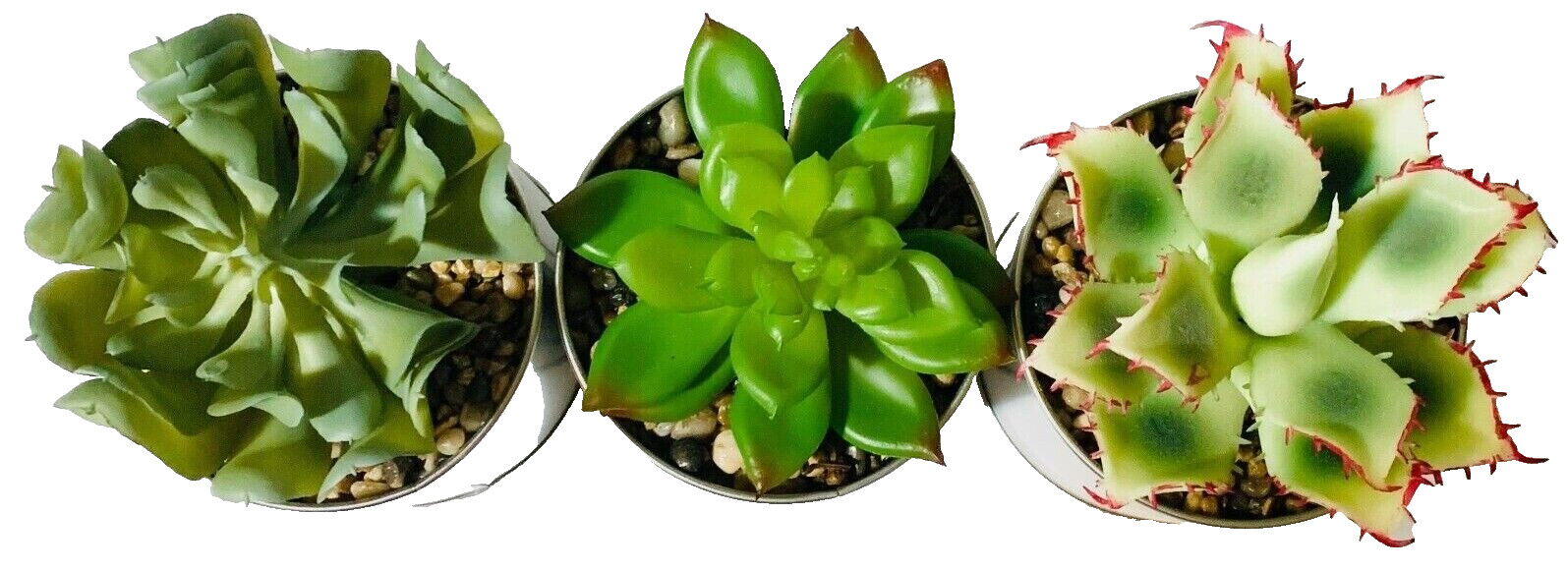 Faux Succulents in Tin Pots Set of 3 Home Sweet Home Decor New in Box
