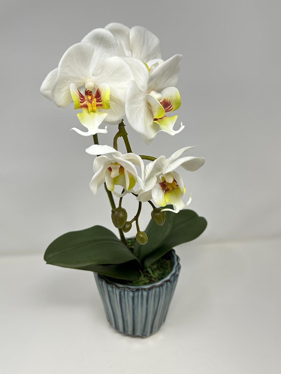 16″ Lg WHITE Phalaenopsis ORCHID silk flower planter, 4″ Blue ceramic footed pot