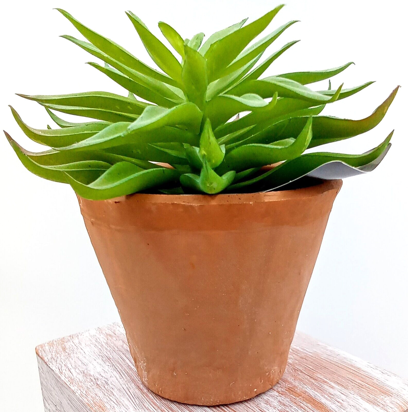 Succulent Clay Pot Planter Artificial Faux Dirt Plastic Green Floral Indoor 6″