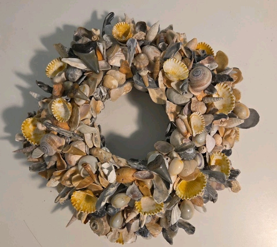 Coastal Seashell Wreath Fossil Shark Teeth Nautical 10″ Center Piece, Hang