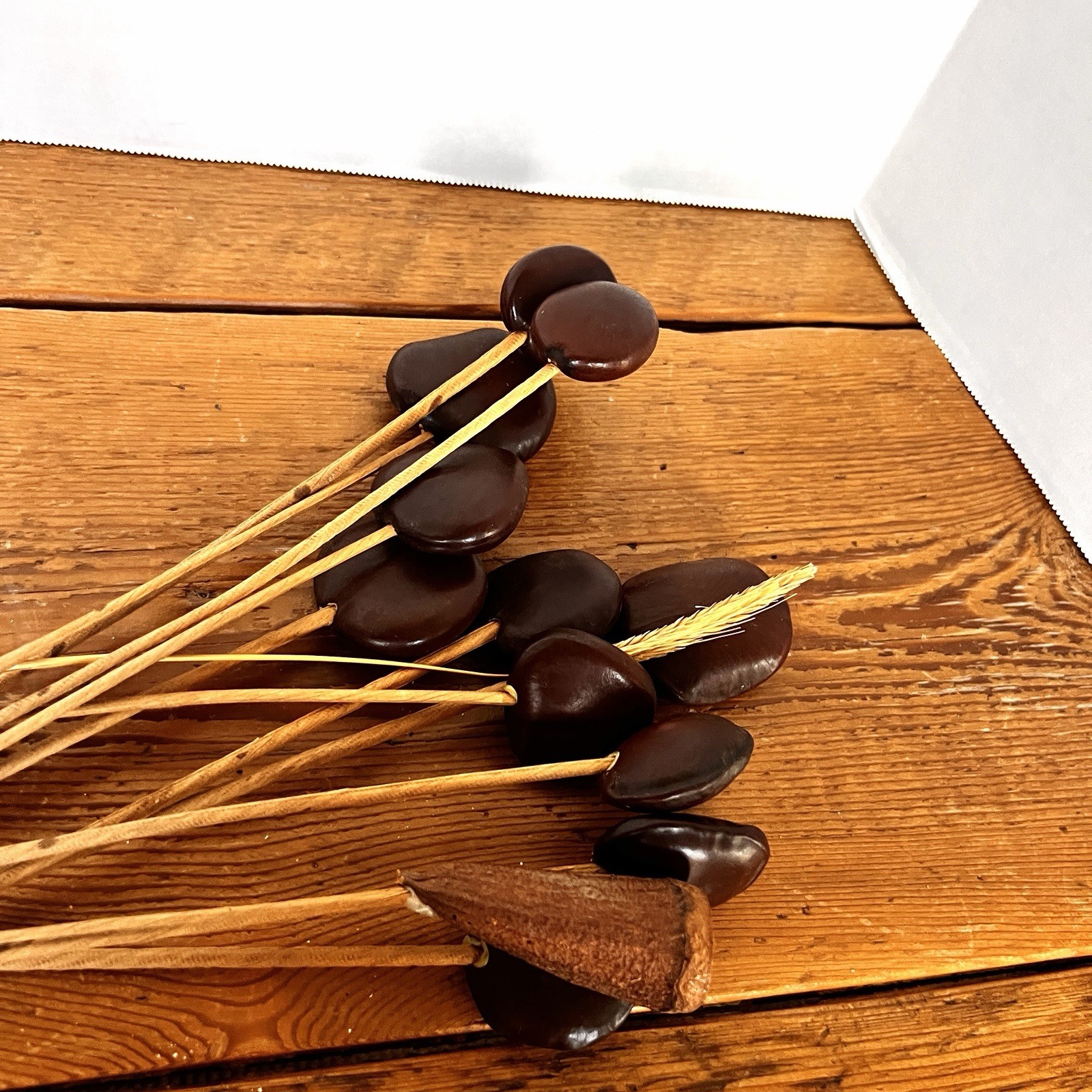 Wood Seed Pods W/Stem (11x) For Floral Arrangements Vases Decor MCM