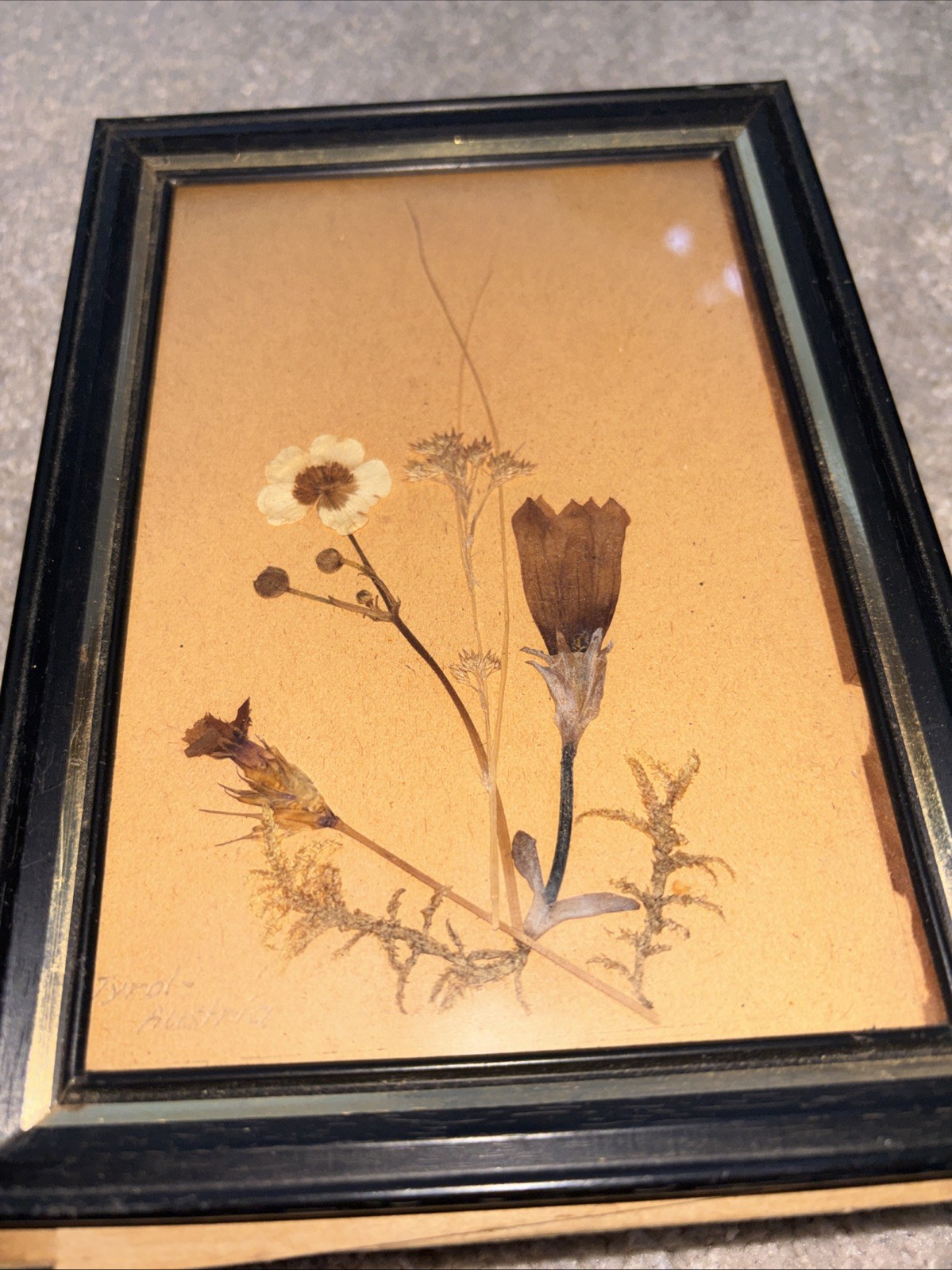 Vintage WW2 Set 4 Pressed Flowers Etc 5/7 Framed