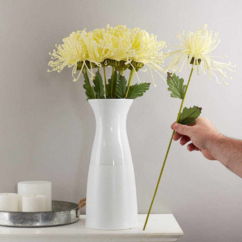 Pack of 12 Cream Artificial Fuji Spider Mum 21-1/2″ Stems