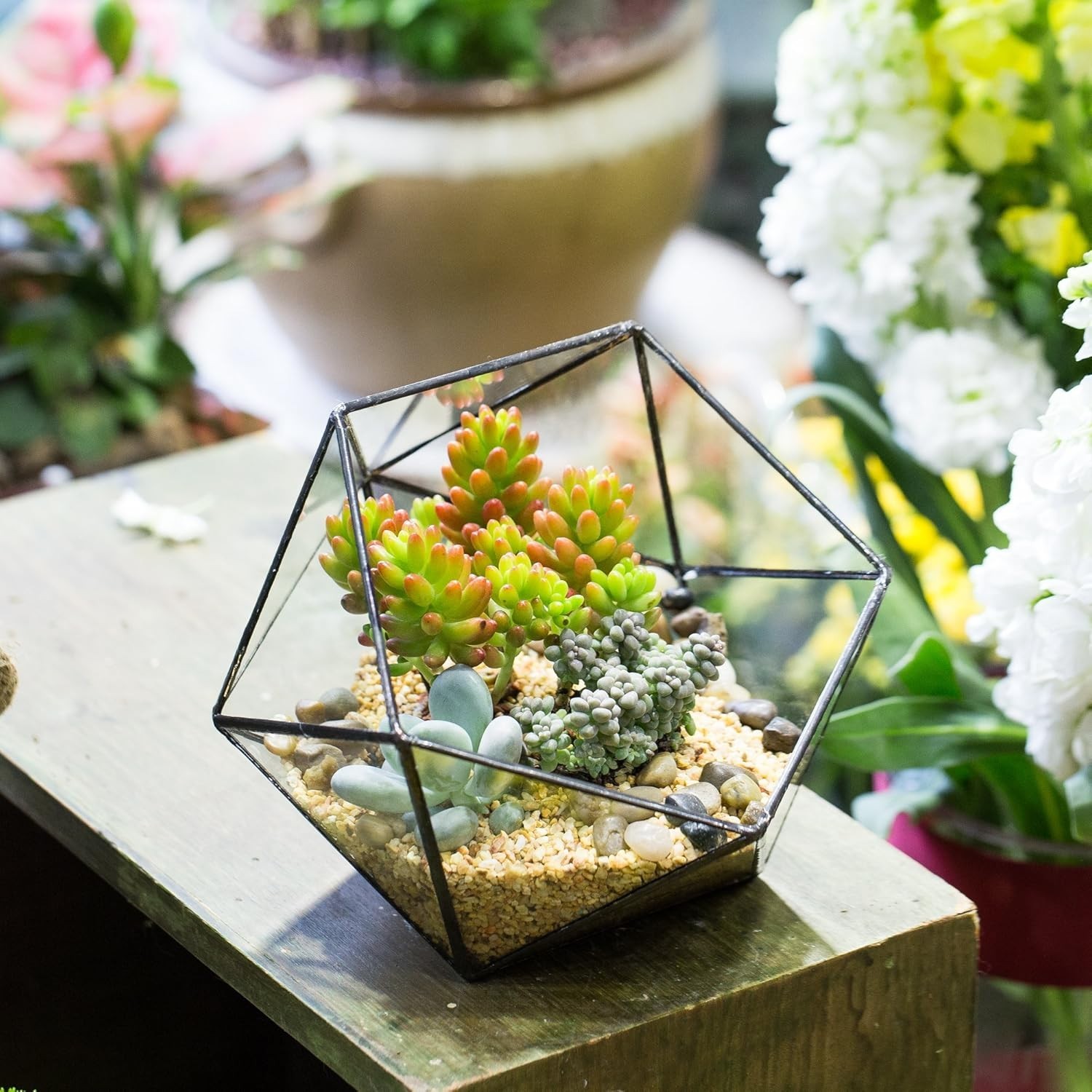 Opened Geometric Glass Terrarium, 6.69″ Bowl Shape Planter For Succulent Plant
