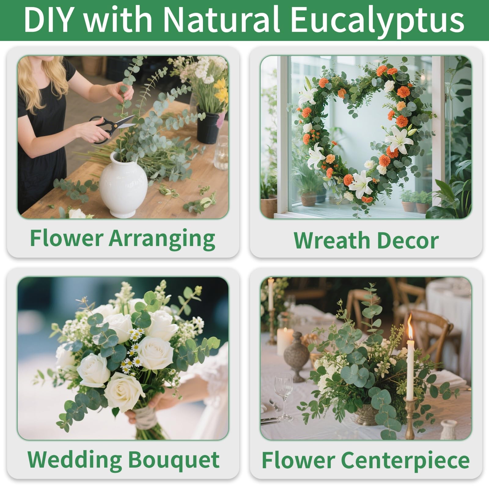 Green Dried Eucalyptus Bundle 12 Pcs Real Stems 17 Inch Fresh Natural Eucalyp…