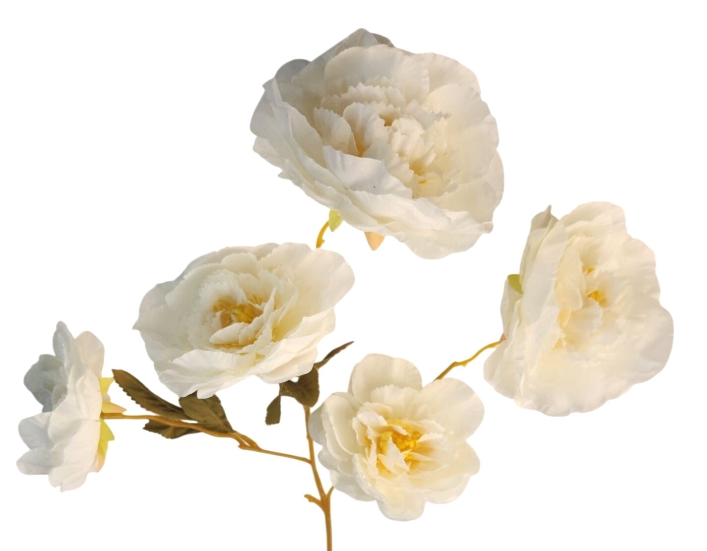 Cream Ranunculus Stems, Faux Ranunculus Flowers, Artificial Flowers, Ivory Flora