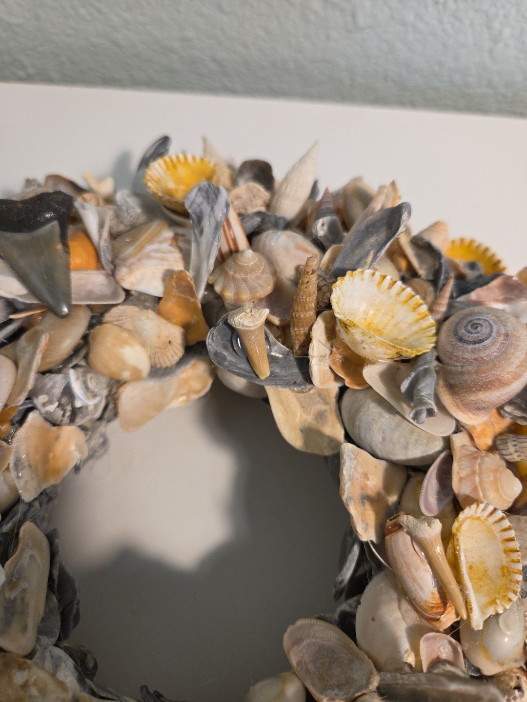 Coastal Seashell Wreath Fossil Shark Teeth Nautical 10″ Center Piece, Hang