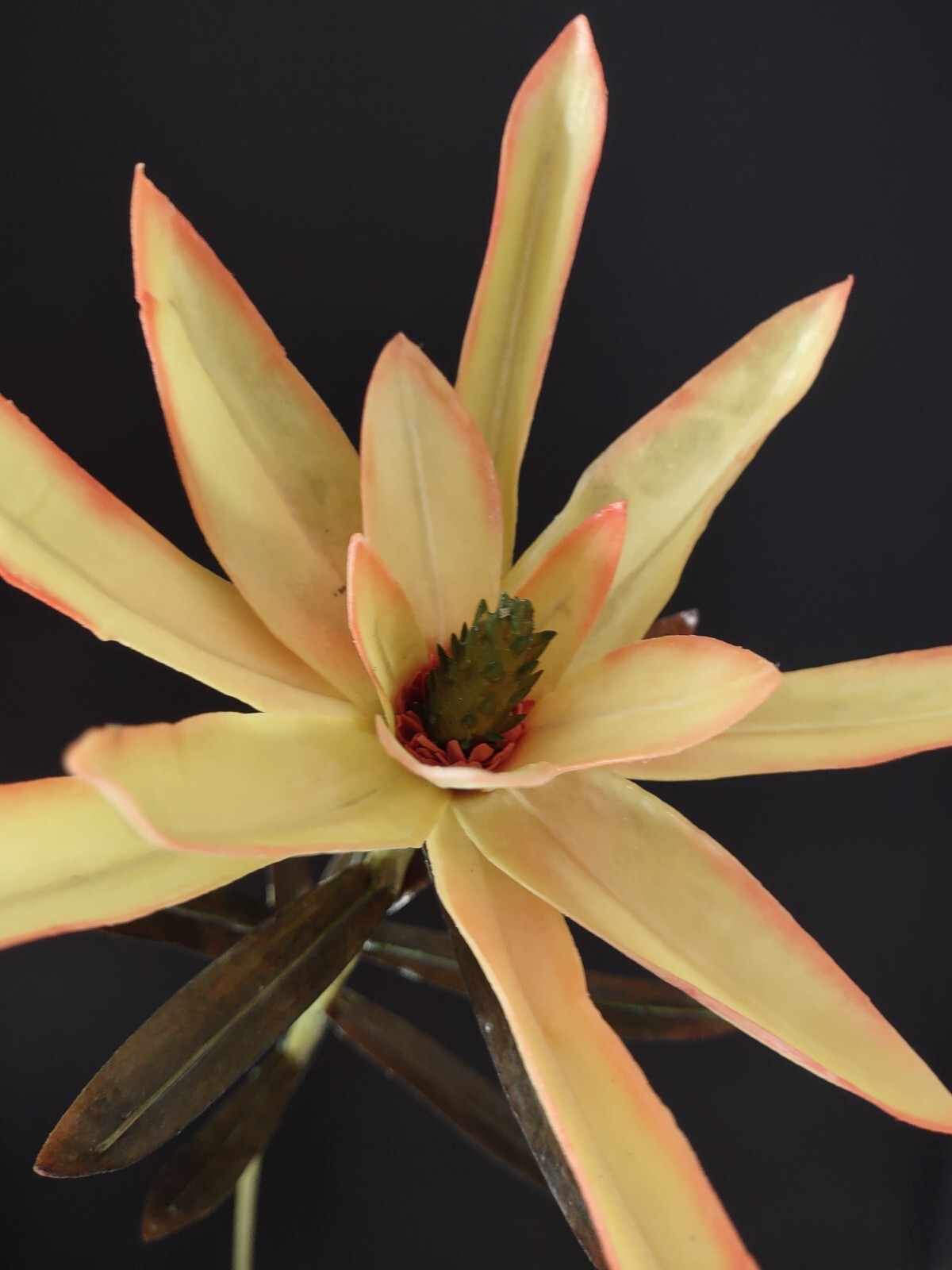 Artificial vintage star protea stems