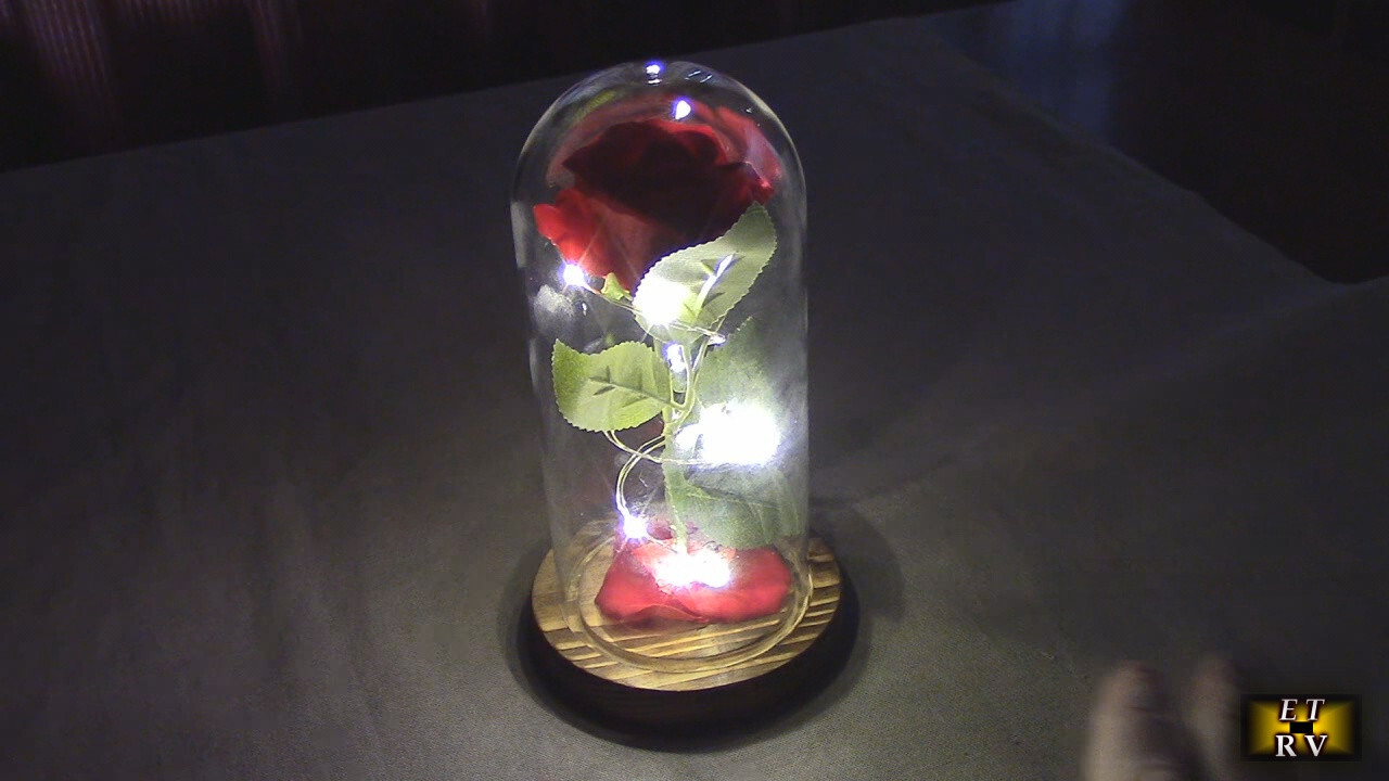 Premium Rose in Glass Dome Beautiful Fairy Lights- Beauty and The Beast Inspired