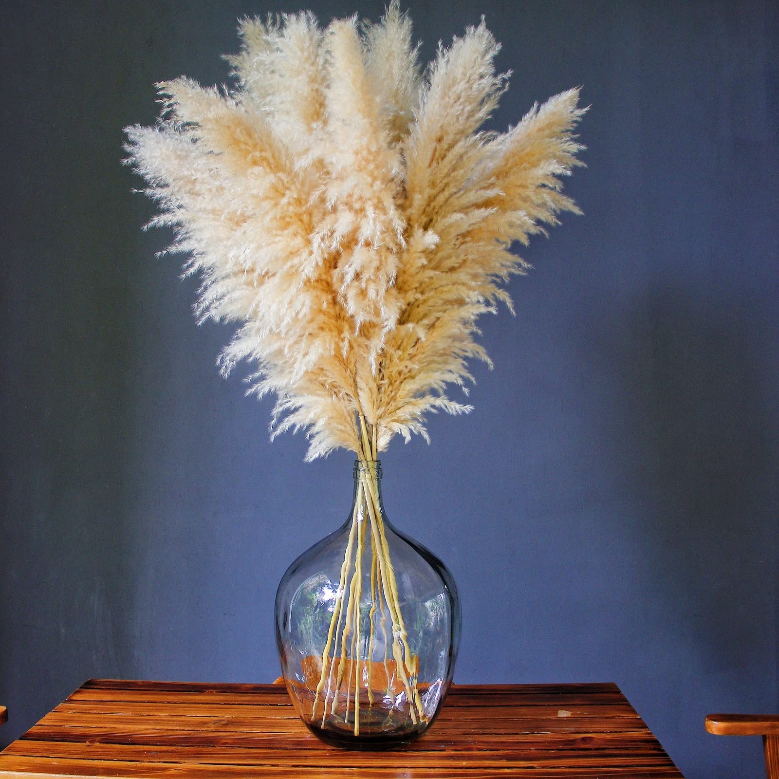 10 Stems 46″ inch Dried Pampas Grass Decor Tall, Large 10PCS-46inch, Beige