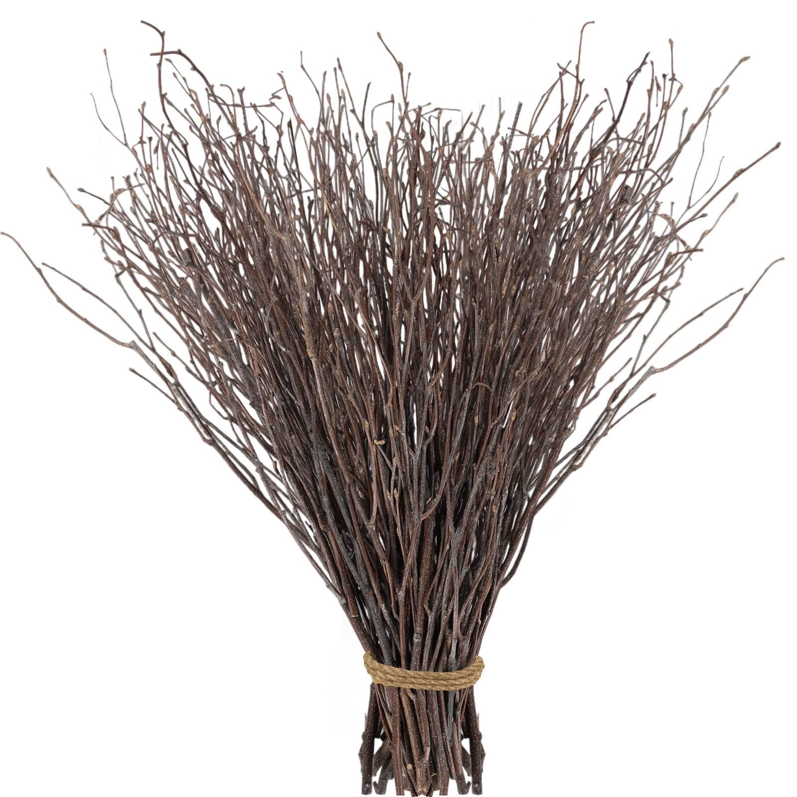 60 PCS Real Dried Birch Twigs Branches 16 Inch DIY Floral Centerpiece