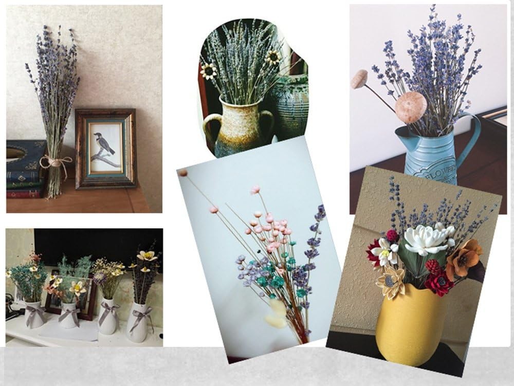 Lavender Dried Ultra Blue Bundles 200+ Stems (16″ – 18″ Long) for Home Decor