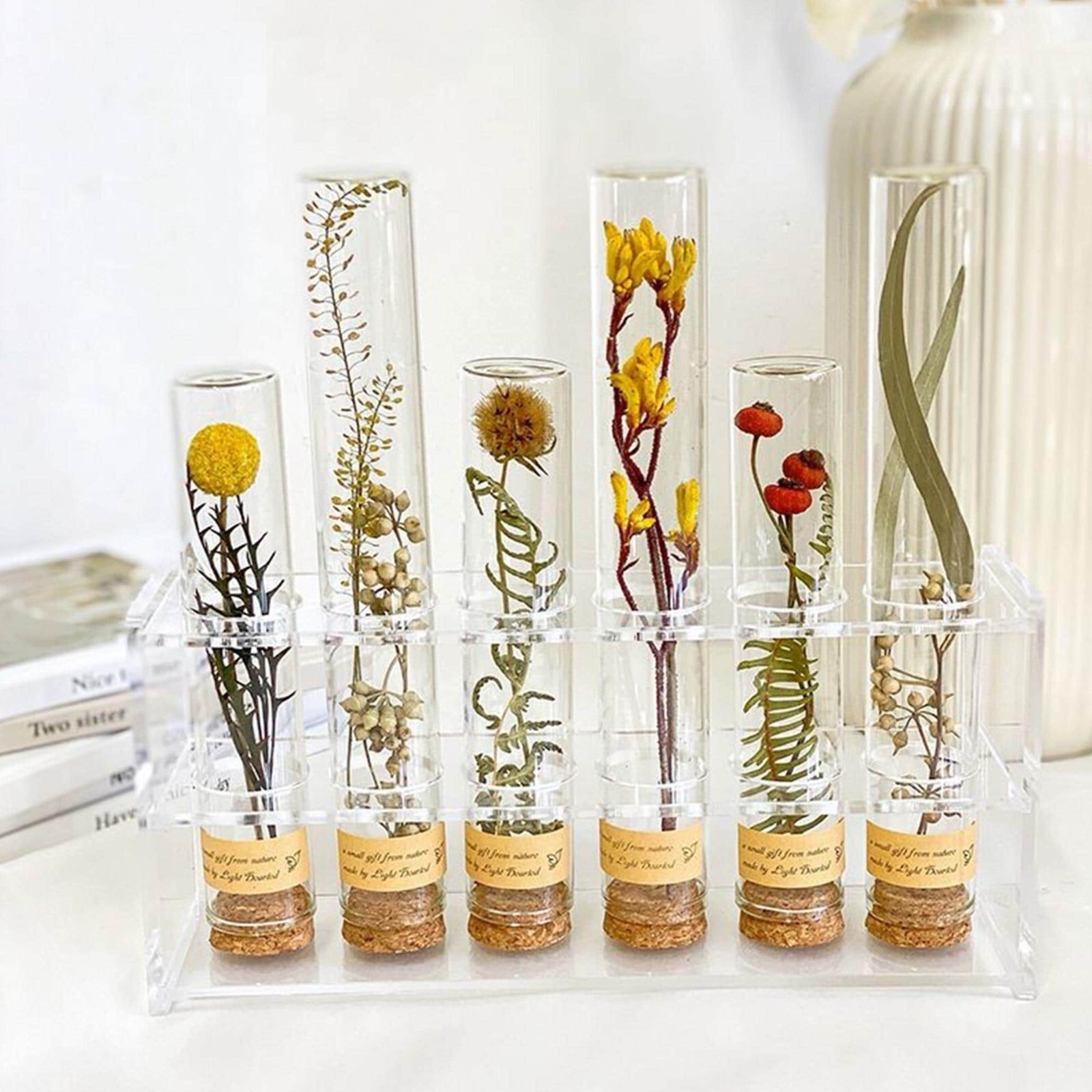 Plant specimens handmade test tube dried flowers immortal flowers holiday birthd