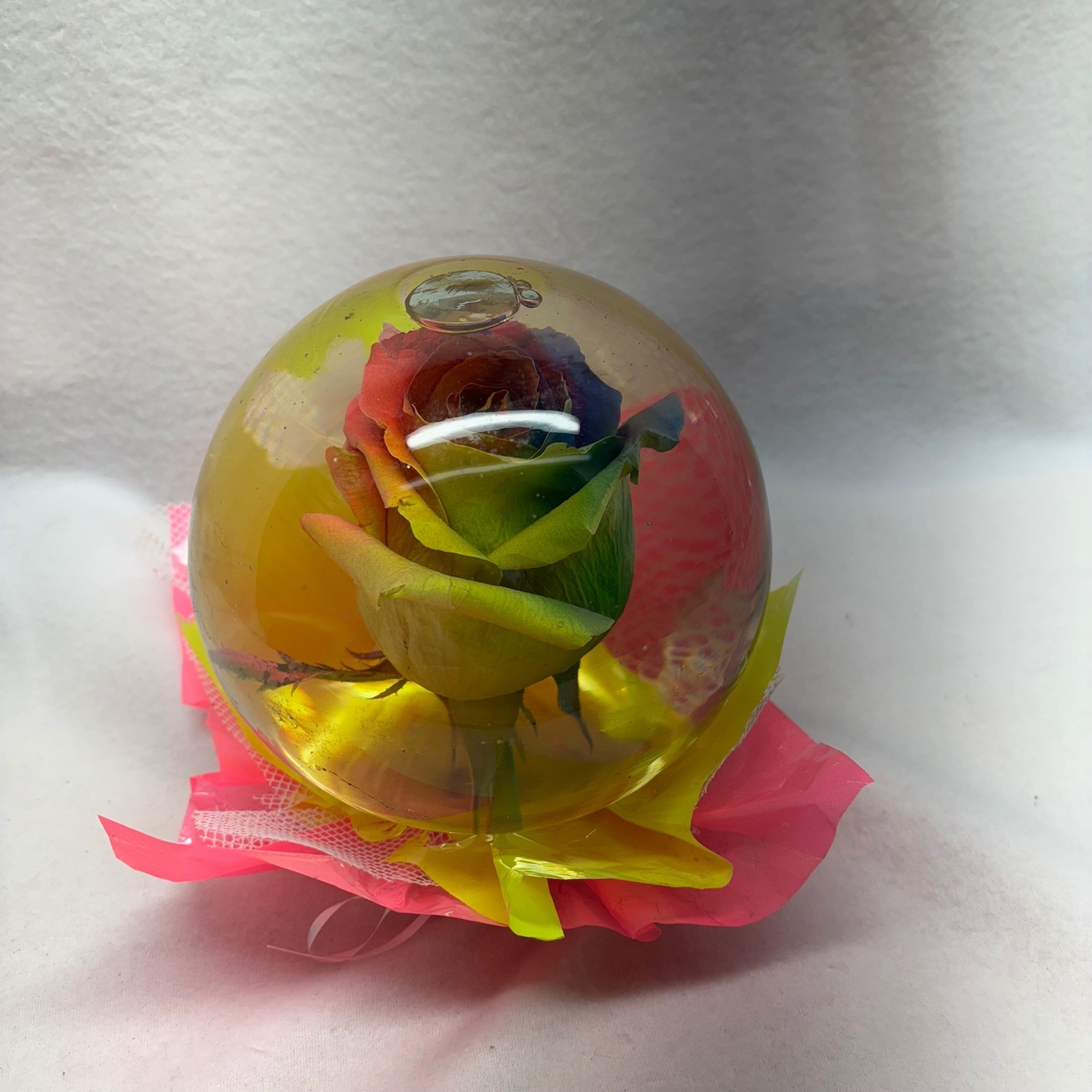 Four Brothers Farms Assorted Rose Globe Resin Preserved Rainbow Flower