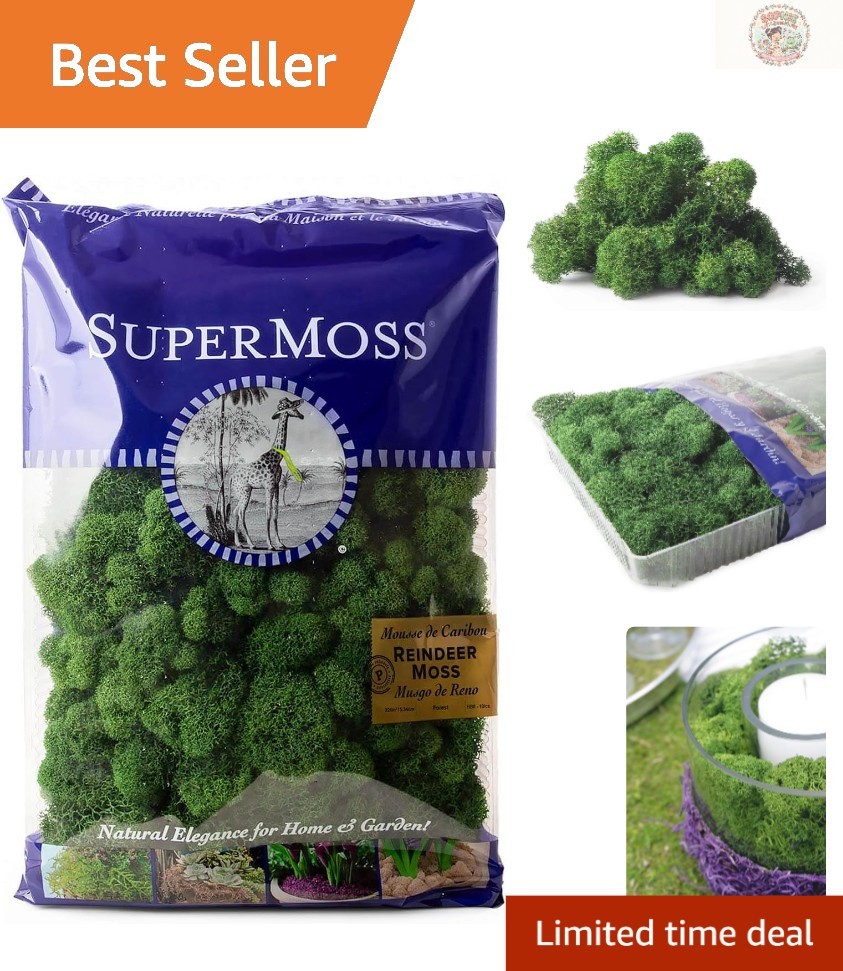 Long-Lasting 8oz Preserved Reindeer Moss for Elegant Flower Arrangement Accents