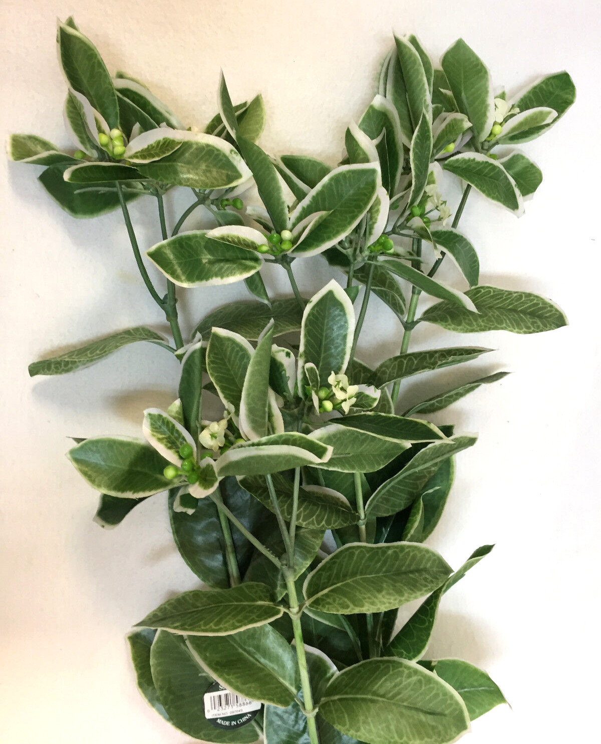 Euphorbia Branch Stems 25″ Artificial Variegated Green White Lot of 4