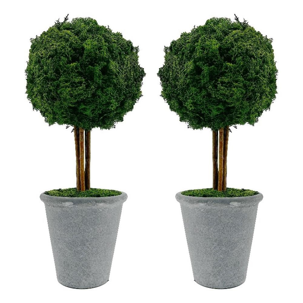 Bergamo Art Preserved 16 Inch Reindeer Moss Ball Potted Topiary Tree Pair Green