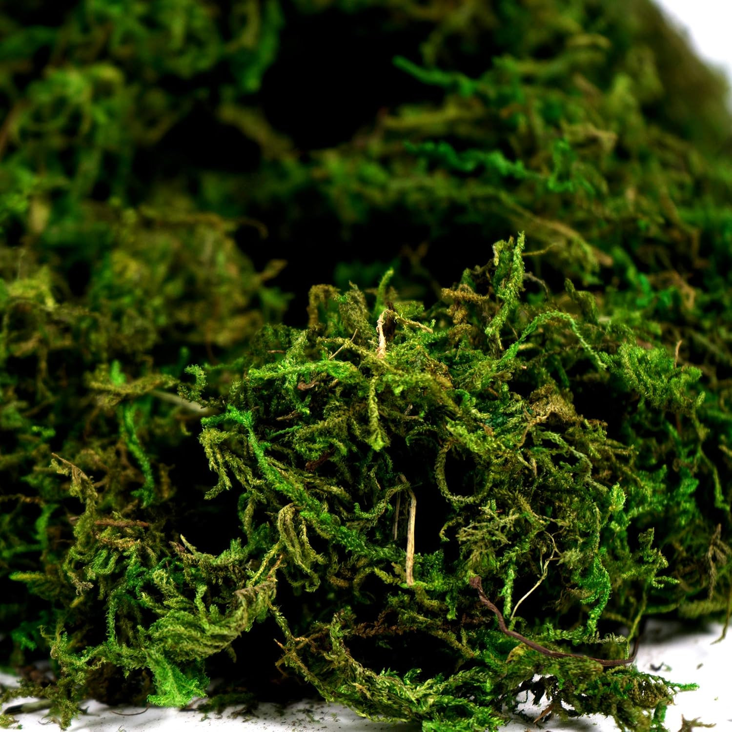 Artificial Moss Fake Green Grass for Centerpieces Home Kitchen Garden Decor (3.5