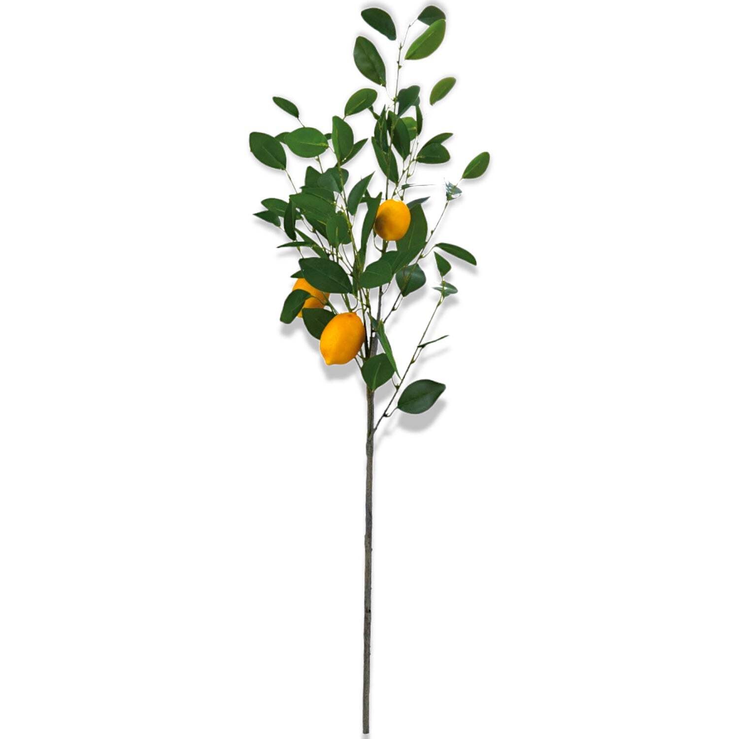 Faux Lemon Tree Branch Stem