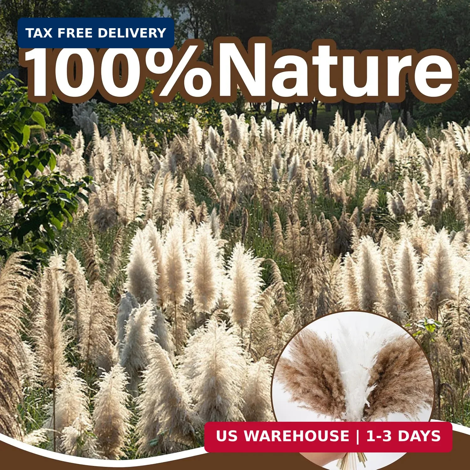 40 PCS Tall Pampas Grass for Floor Vase – 17″ Natural Fluffy Dried Pampas Grass