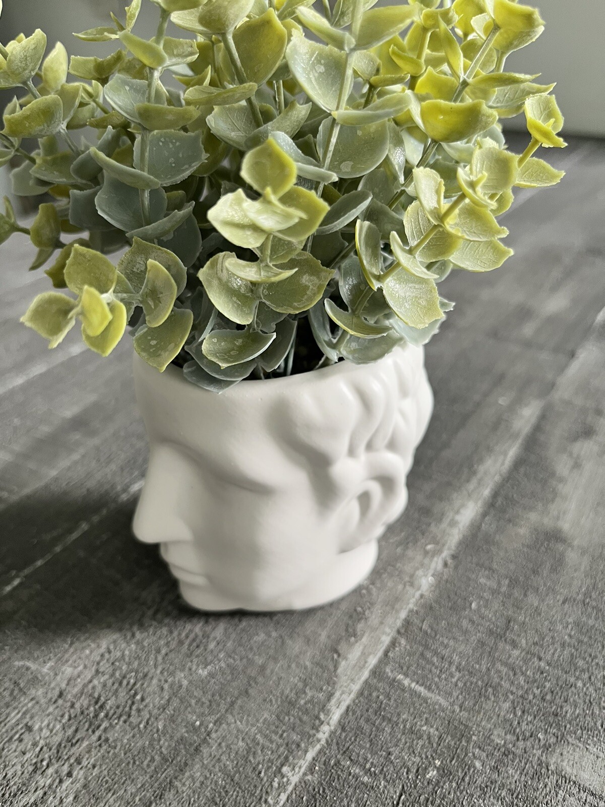 Man Head Planter Bust With Green Succulent Decor White Matte Finish New