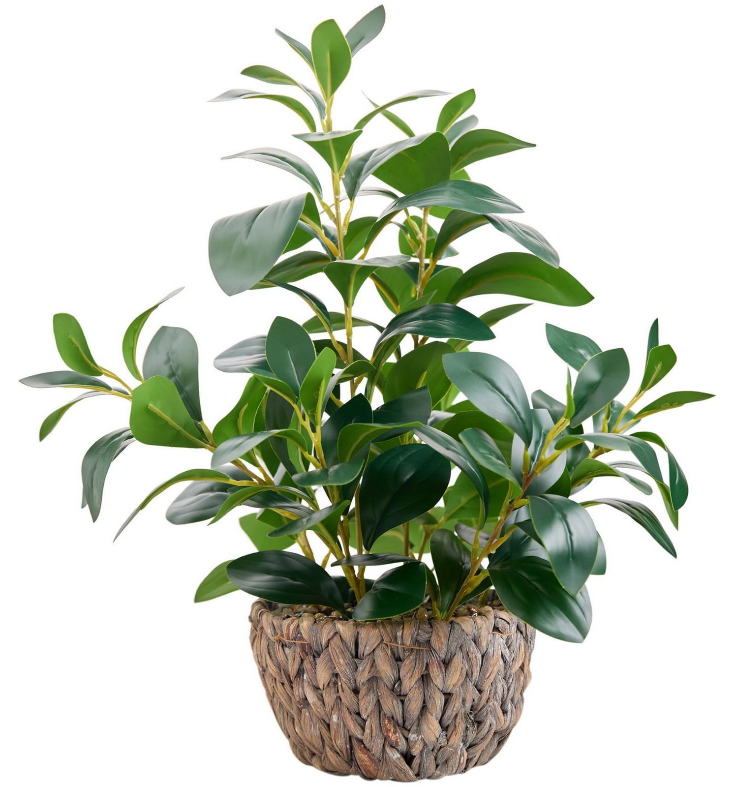 18.8 Inch Artificial Ficus Plant Indoor Faux Greenery Potted in Rattan Woven …