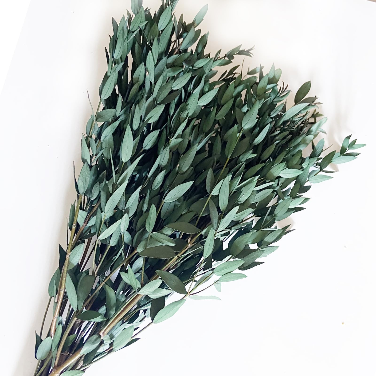 Preserved Dried Eucalyptus Greenery Stems, 20+ Pcs 16 inches Natural Long Las…