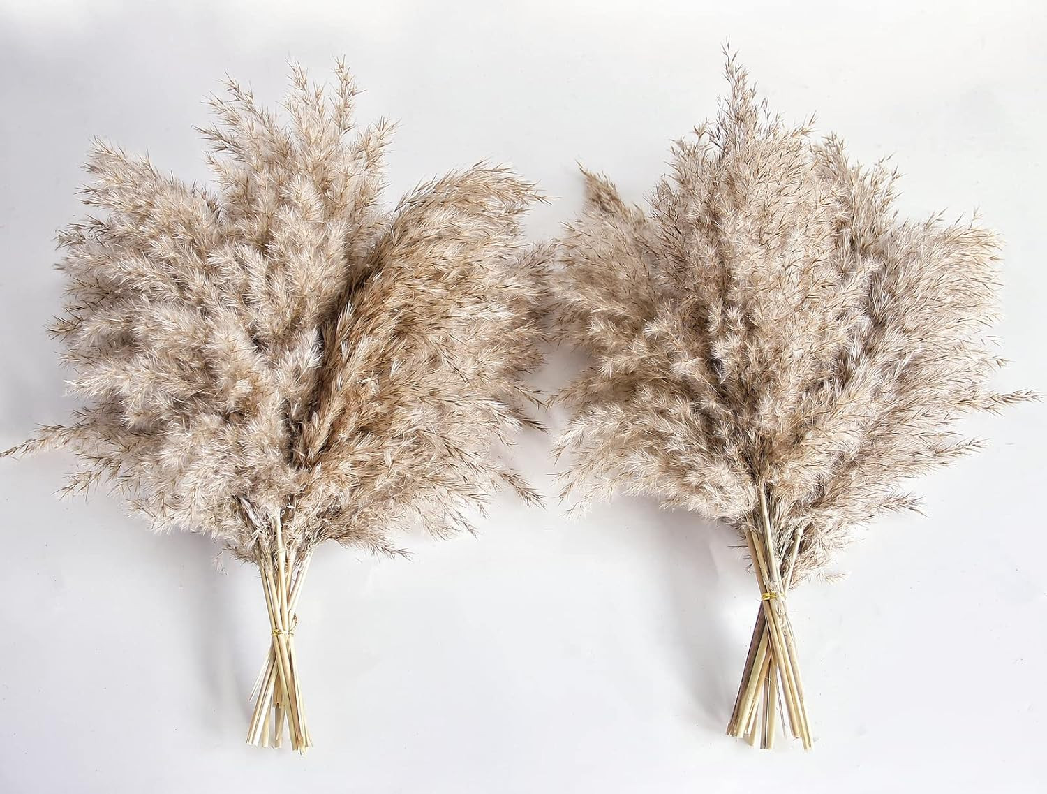 Pampas Grass Decor, Natural Dry Pampas Grass Small, Short Pampass Bulk for Farmh