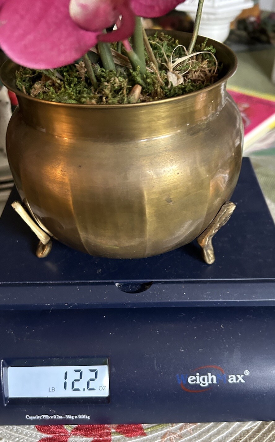 Artificial Orchids In Brass Urn With 3 Feet 20” Tall Darker Colors Due To Light