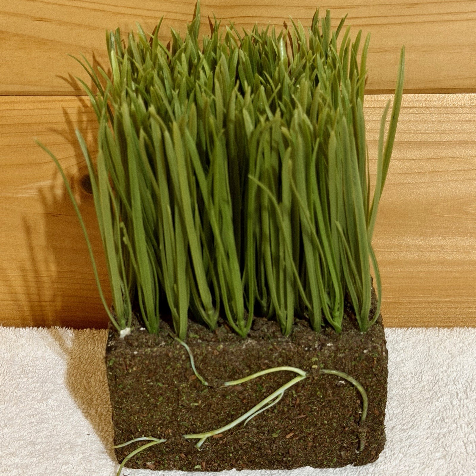 Faux Grass & Soil & Roots in a Styrofoam Block Fake Turf Sod Florist Plant Decor