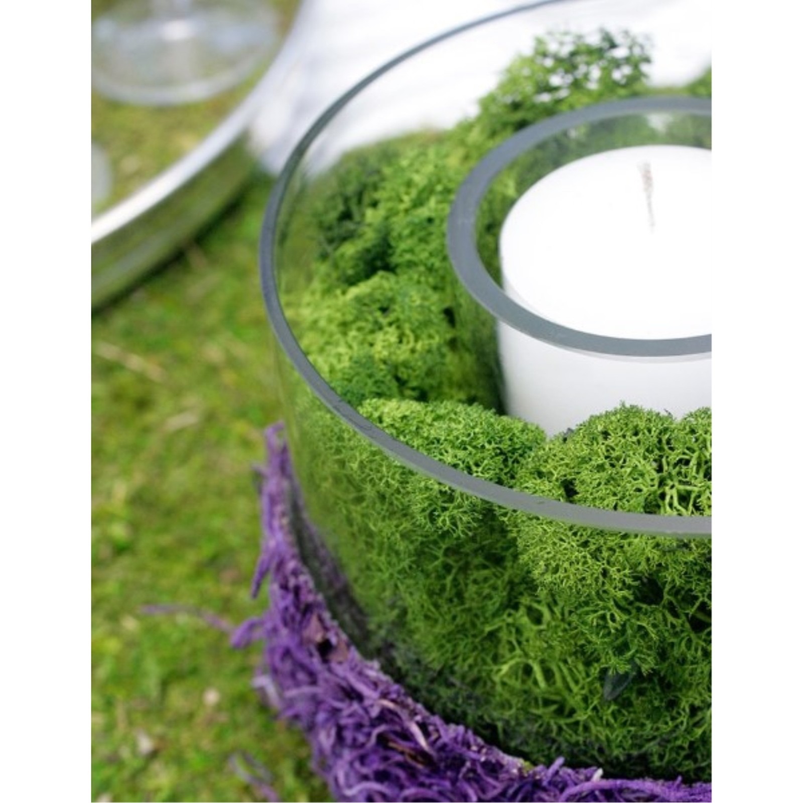 SuperMoss Preserved Reindeer Decorative Moss, Forest Green, 2 oz