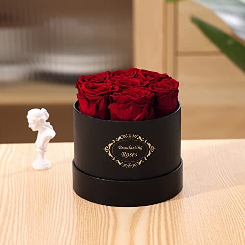 Preserved Roses Box Eternity Roses Long Lasting Roses Gifts for 7 Roses Red